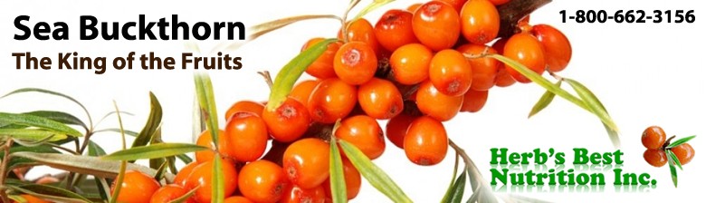 Oil Sea Buckthorn